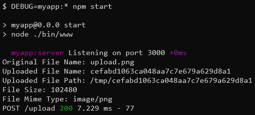 Express console output