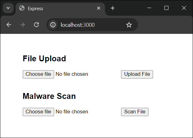 Express web app running in a browser