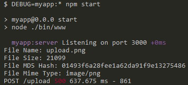 Express console output
